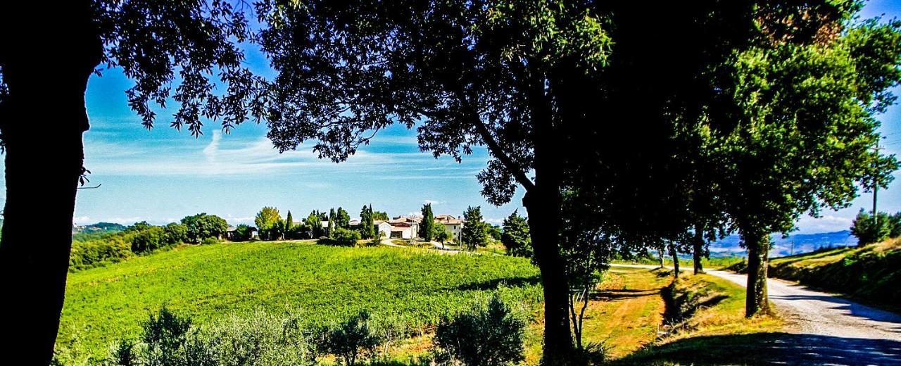 شقة Fattoria La Torre سان جيمينيانو المظهر الخارجي الصورة